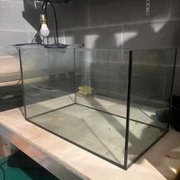 Acquario 30 litri e acquario 40 litri