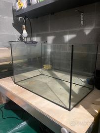 Acquario 30 litri e acquario 40 litri