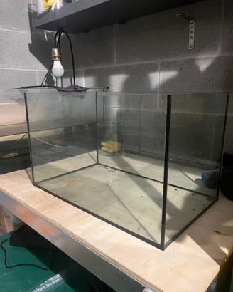 Acquario 30 litri e acquario 40 litri