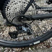 MTB Orbea Alma