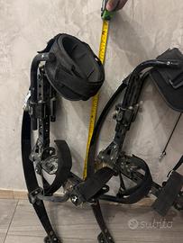 Trampoli elastici