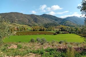 Terreno agricolo panoramico nel cuore dell'Ogliast