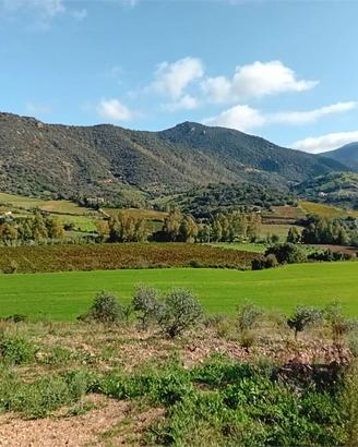 Terreno agricolo panoramico nel cuore dell'Ogliast
