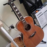 D'Angelico Guitars Premier Tammany