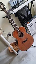 D'Angelico Guitars Premier Tammany