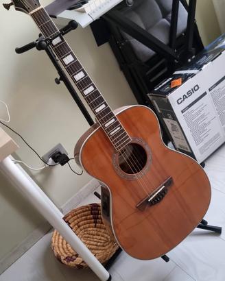 D'Angelico Guitars Premier Tammany