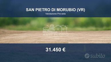 Immobile in asta di 5486 m² a San Pietro di Morubi