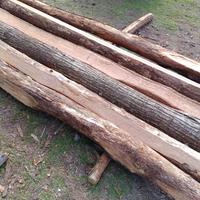 Travi di castagno, tavole,pali.