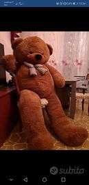 peluche orso