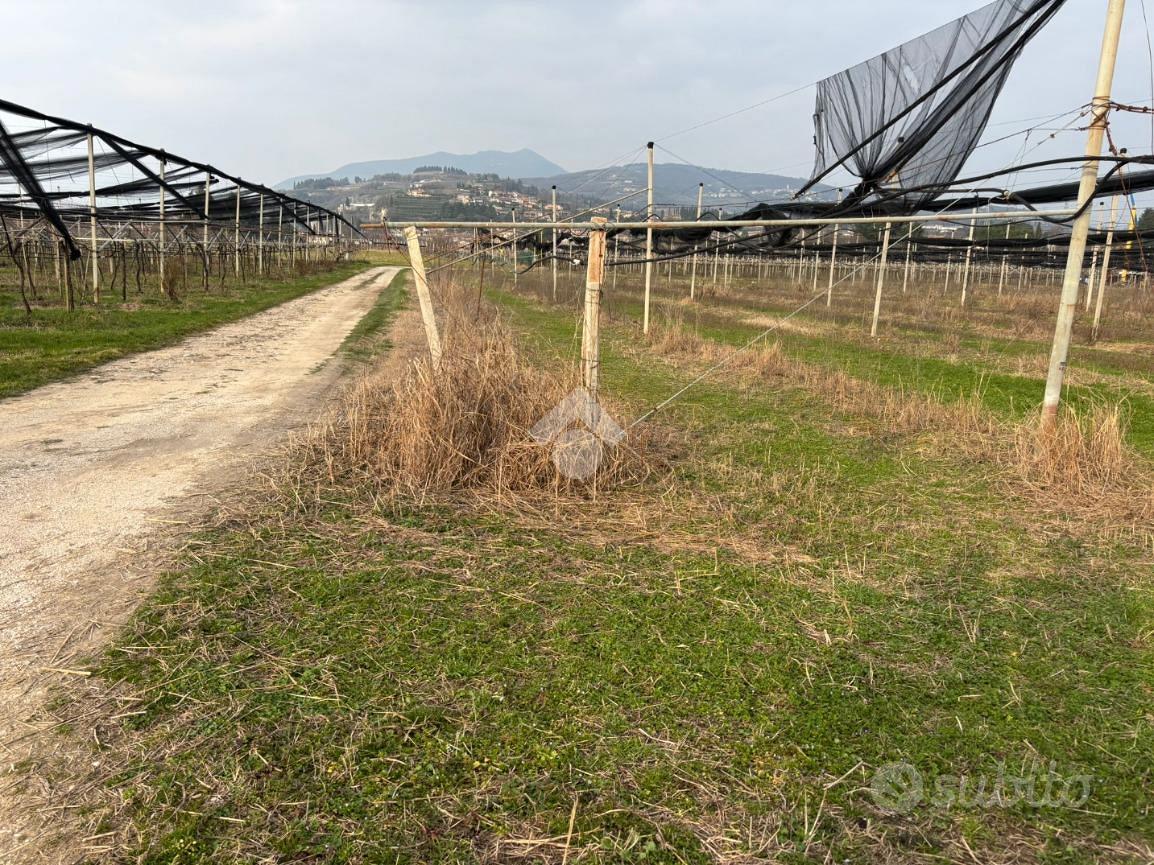 TERRENO A SANT'AMBROGIO DI VALPOLICELLA - Vista 2