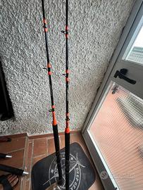 Coppia canne pesca colmic medina traina 20lb