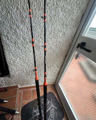 Coppia canne pesca colmic medina traina 20lb