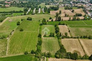 TER. AGRICOLO A MANERBA DEL GARDA
