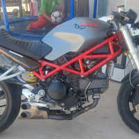 Ducati monster