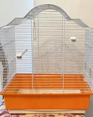 Gabbietta Canarini e Simili