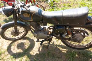 gilera