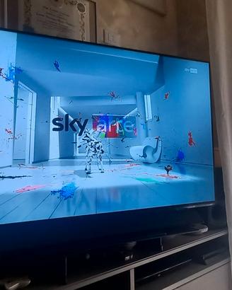 TV OLED PANASONIC 55 POLLICI