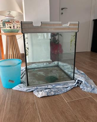 Acquario