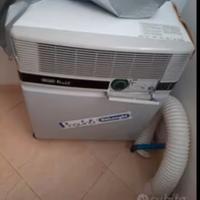 Condizionatore De Longhi Pinguino portabile