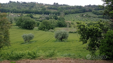 Terreno agricolo