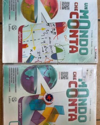 Un mondo che conta - Algebra+geometria C