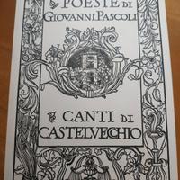 libro CANTI DI CASTELVECCHIO