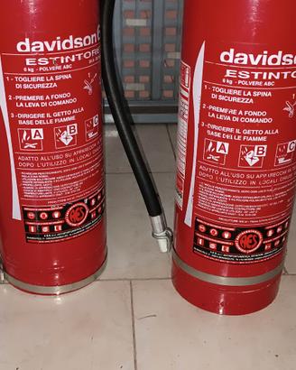 estintore 6 kg con revisione scaduta 