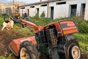 Motocoltivatore Goldoni