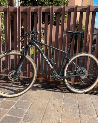 cannondale trail 3