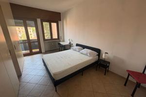 Ampia e luminosa stanza a Novara -