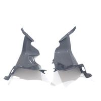 COPRI CONDOTTI CARBONIO DUCATI PANIGALE V4 V4S 202