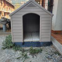 Cuccia da esterno per cane taglia grande