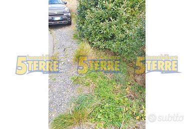Rustico / Casale di 20 m² con 1 locale a Riomaggio