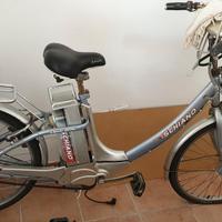 Bici elettrica 