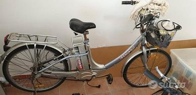 Bici elettrica 