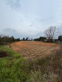 Terreno fronte strada statale