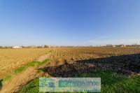 anguillara - terreno agricolo 24677 mq rif. l42