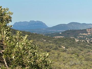 Lotto terreno agricolo mq 30.000