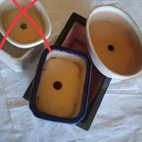 Vasi smaltati per bonsai