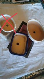 Vasi smaltati per bonsai