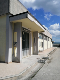 Capannone commerciale