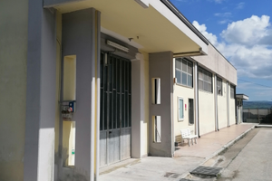 Capannone commerciale