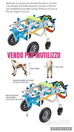 Animali disabili