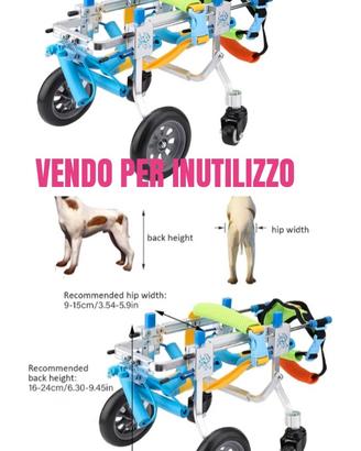 Animali disabili
