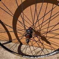 Coppia ruote BDC miche