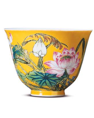 Collezionista porcellane cinesi