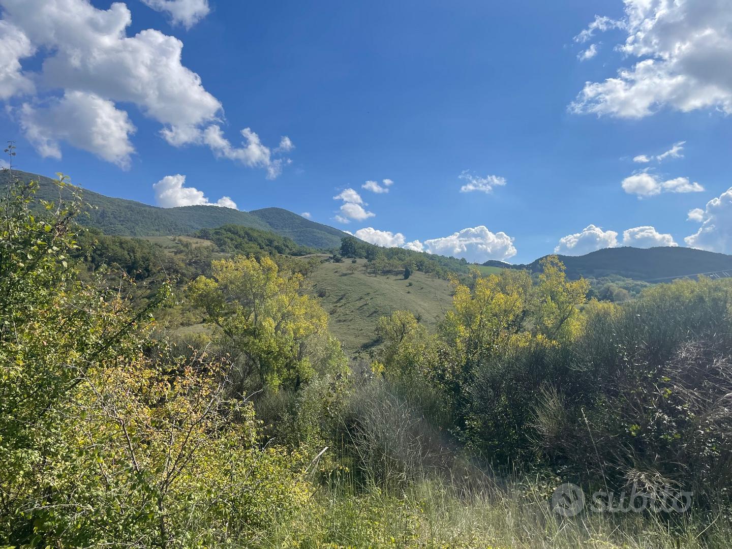 Terreno agricolo - Vista 4