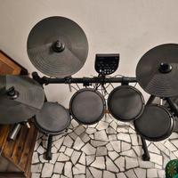 Alesis Dm6 