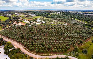 Terreno edificabile a Ceglie Messapica