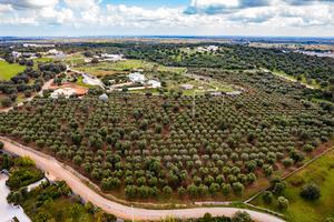 Terreno edificabile a Ceglie Messapica
